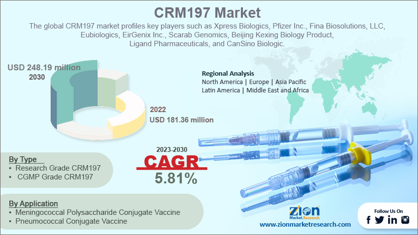 Global CRM197 Market Size 