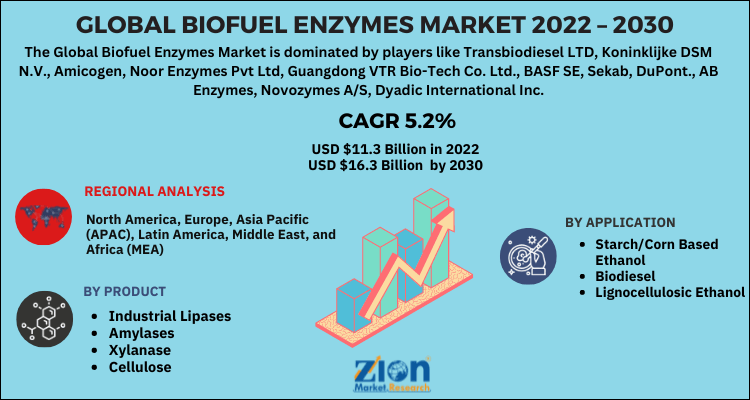 Global Biofuel Enzymes Market