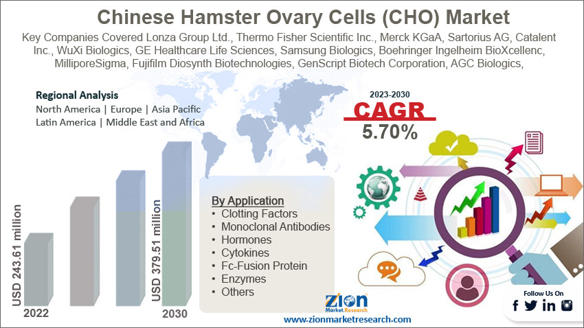 Chinese hamster ovary cells (CHO) market Size