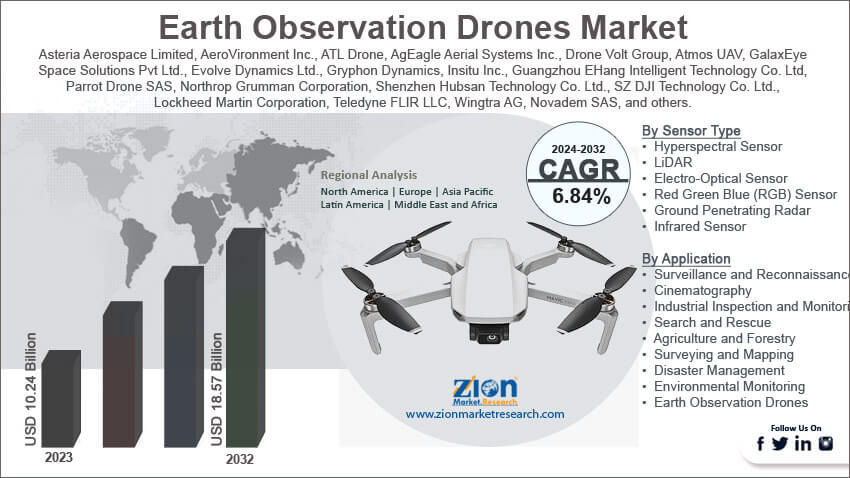 Global Earth Observation Drones Market