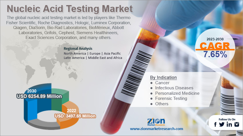 Global Nucleic Acid Testing Market Size