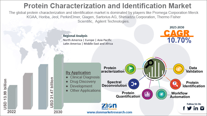 Global Protein Characterization and Identification Market Size