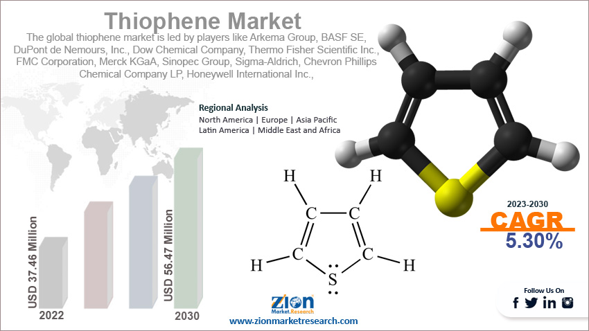 Global Thiophene Market Size