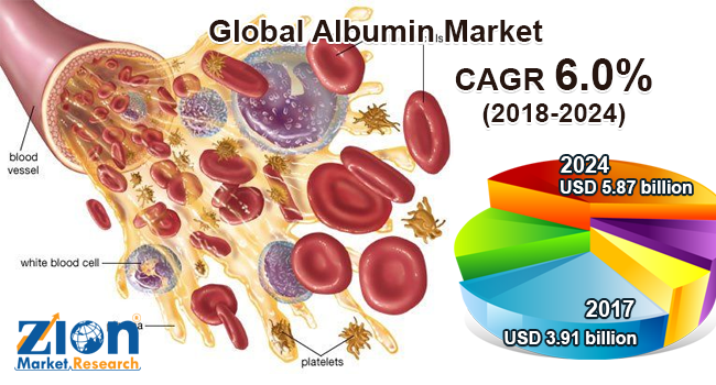 Global Albumin Market