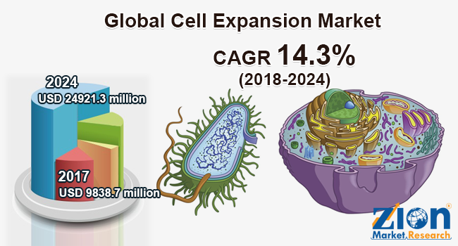 Global Cell Expansion Market