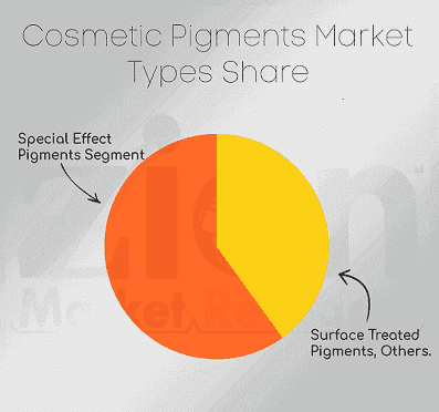 Cosmetic Pigments Market Share