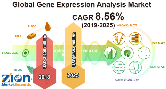 Global Gene Expression Analysis Market