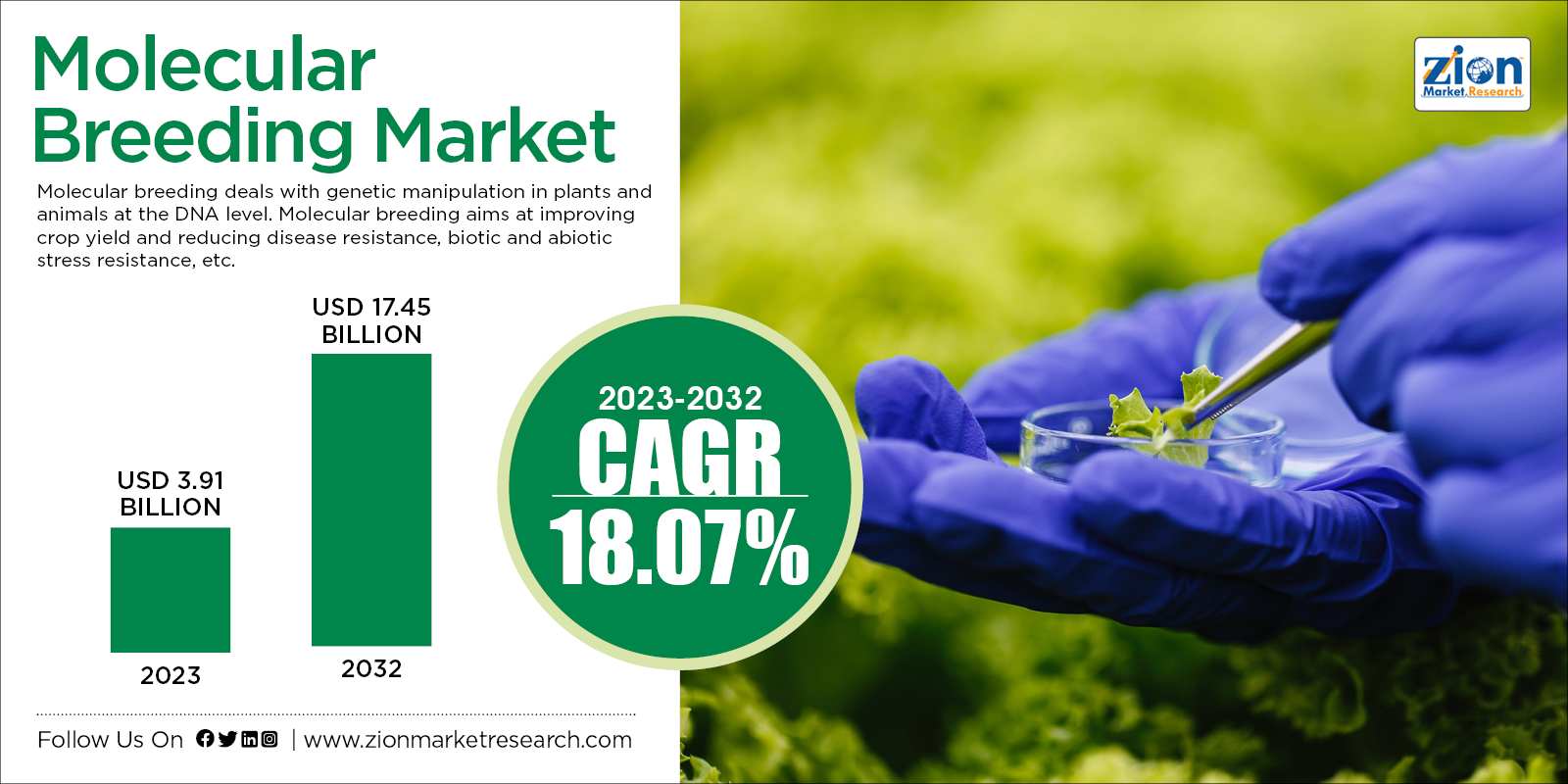 Global Molecular Breeding market