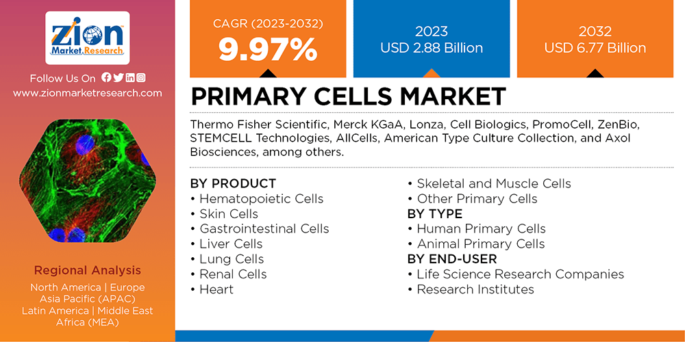 Global Primary Cells Market