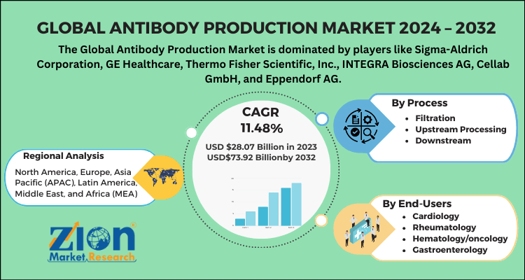 Global Antibody Production Market