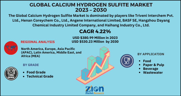 Calcium Hydrogen Sulfite Market