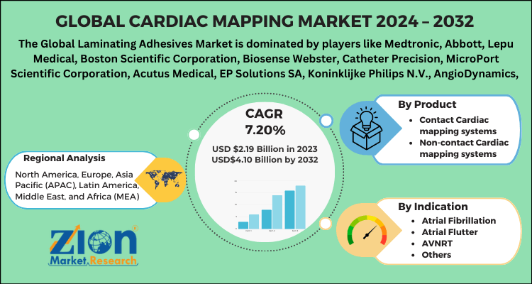 Global Cardiac Mapping Market 