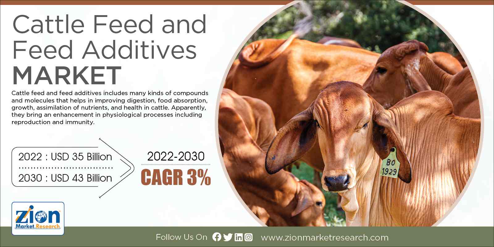 Global Cattle Feed and Feed Additives Market Size