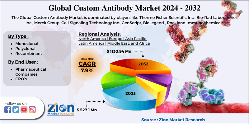 Custom Antibody Market