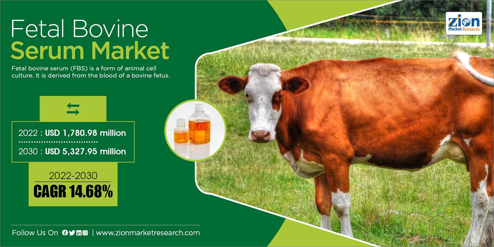 Global Fetal Bovine Serum Market Size