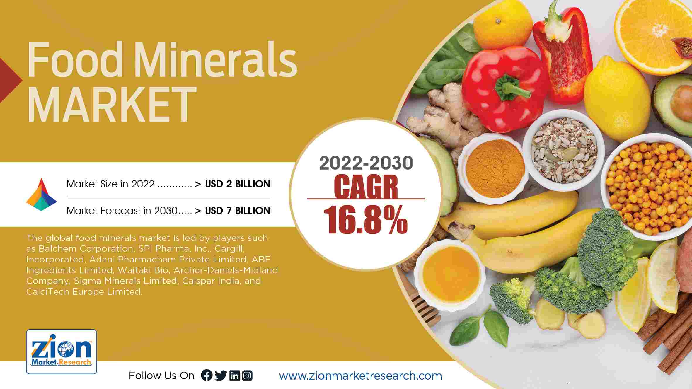 Global Food Minerals Market Size