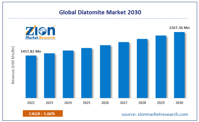 Global Diatomite Market Size