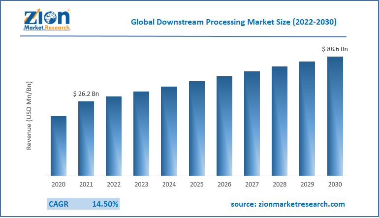 Global Downstream Processing Market Size