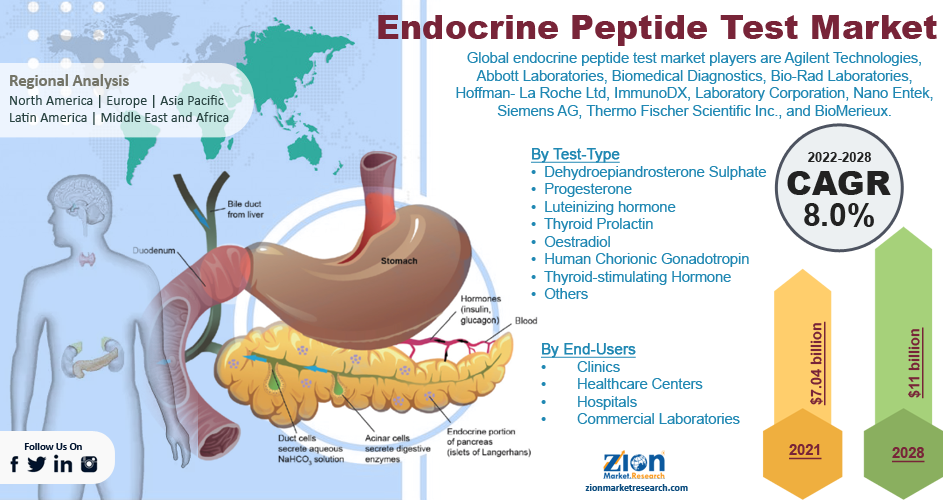 Global Endocrine Peptide Test Market 