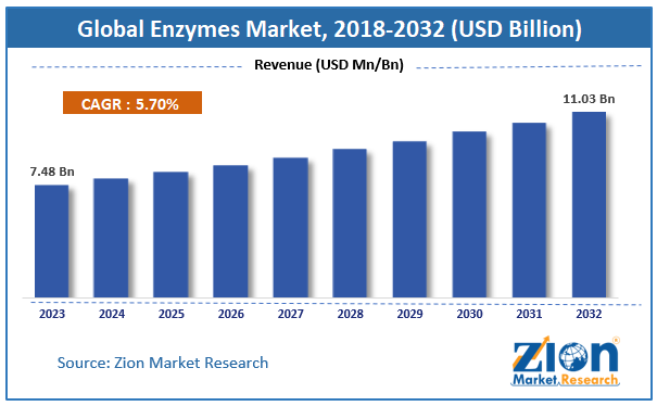 Enzymes Market size