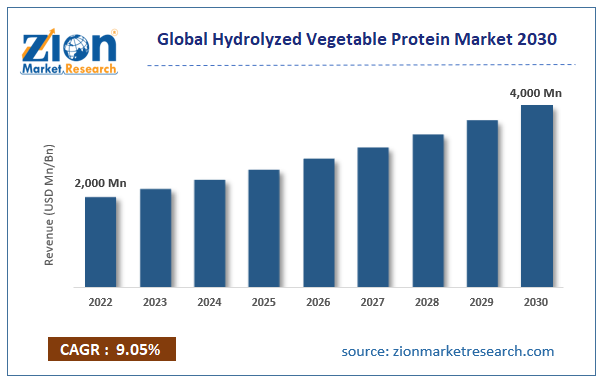 Global Hydrolyzed Vegetable Protein Market Size