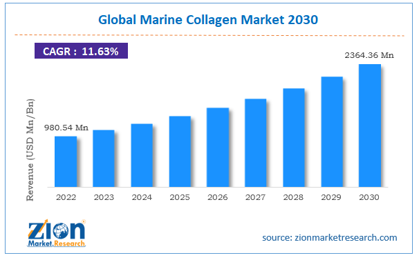 Global Marine Collagen Market Size