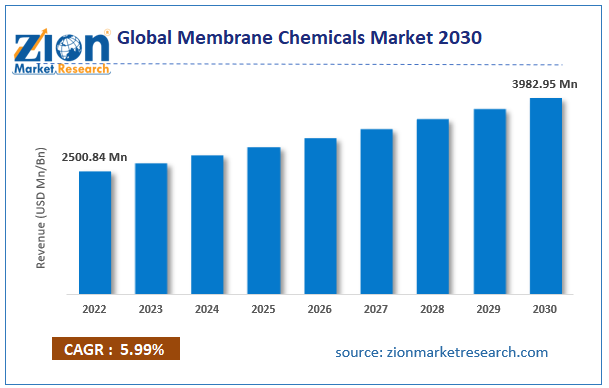 Global Membrane Chemicals Market Size