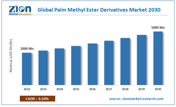 Global Palm Methyl Ester Derivatives Market Size