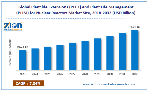 Global Plant life Extensions (PLEX) and Plant Life Management (PLIM) for Nuclear Reactors Market Size