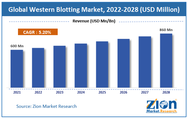 Global Western Blotting Market Size