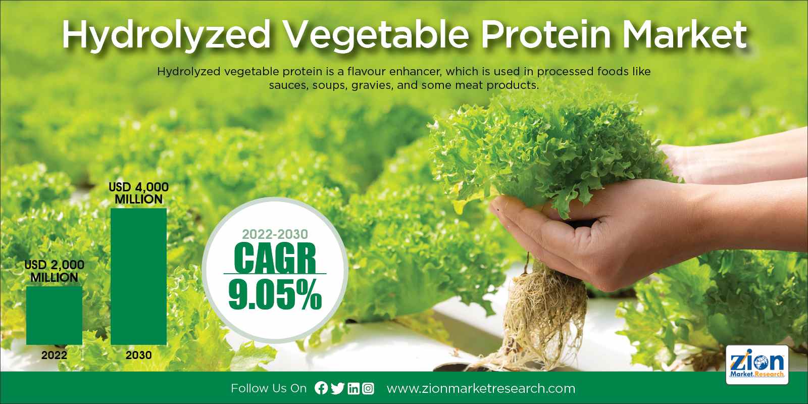 Global Hydrolyzed Vegetable Protein Market Size