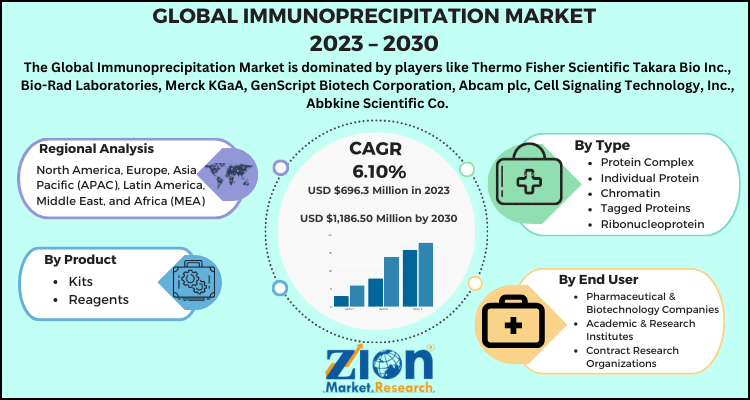 Immunoprecipitation Market