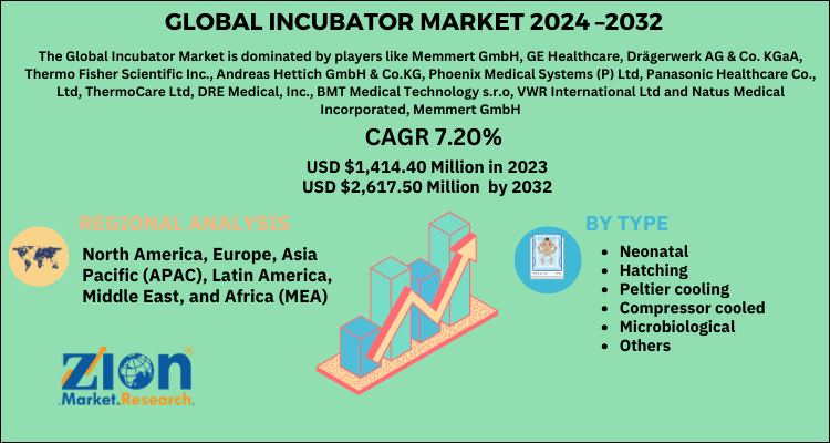 Global incubator market