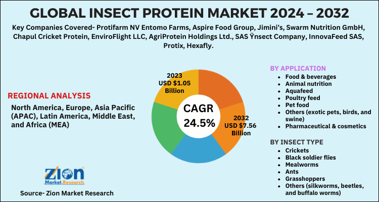 Insect Protein Market