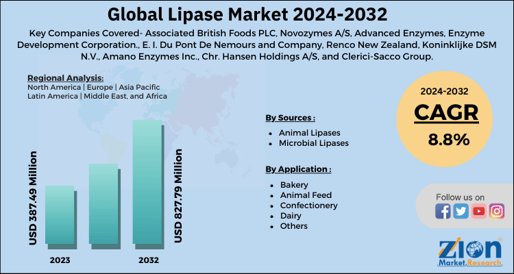 Lipase Market