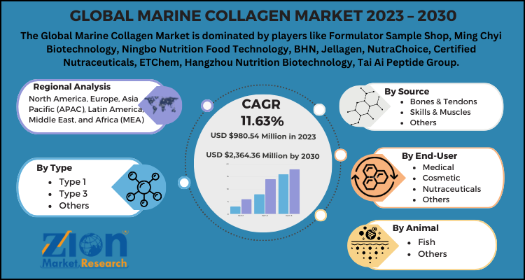 Marine Collagen Market