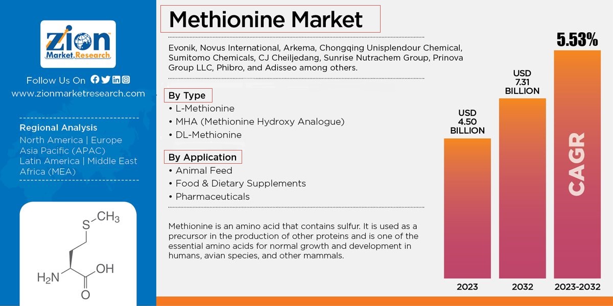 Global Methionine Market