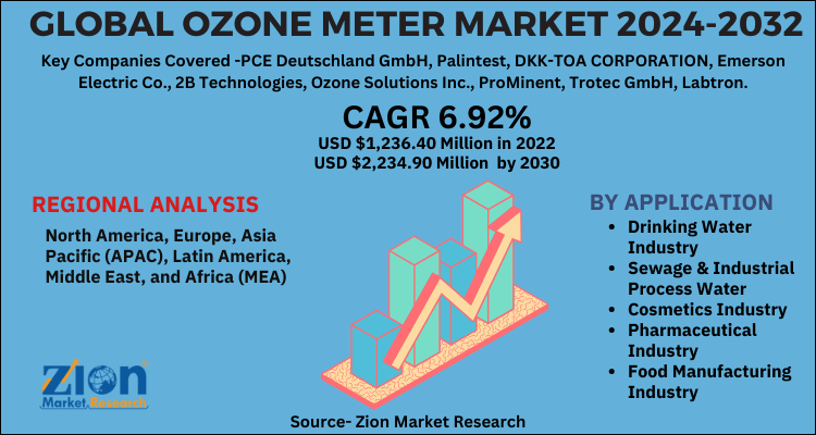 Ozone Meter Market