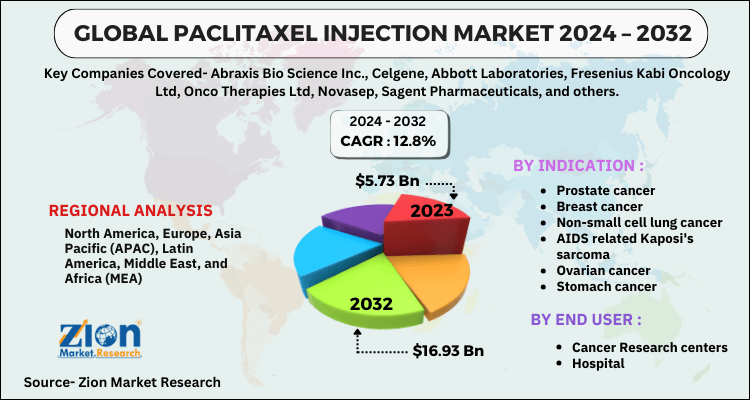 Paclitaxel Injection Market