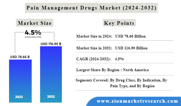 Global Pain Management Drugs Market Size