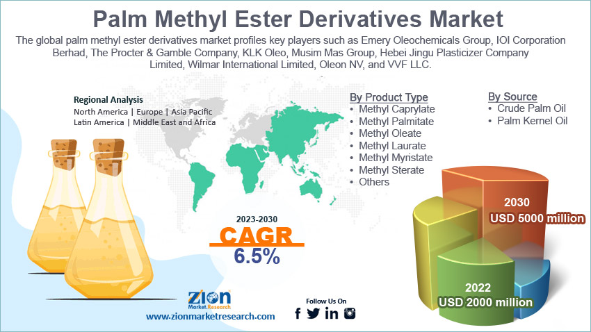 Global Palm Methyl Ester Derivatives Market Size