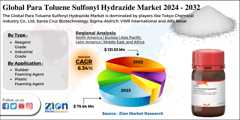 Para Toluene Sulfonyl Hydrazide Market