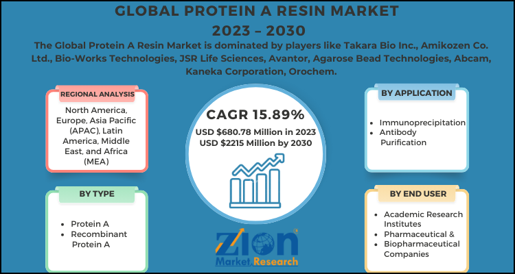 Protein A Resin Market